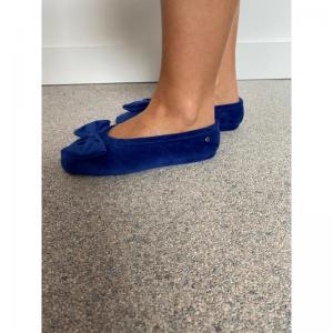 95810 bleu
